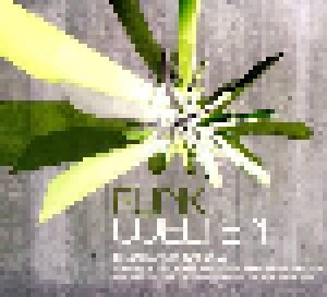 Cover - Flint Glass: Funkwelten