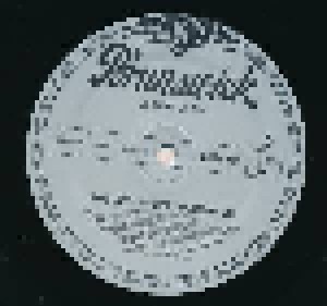 The Spotnicks: Diamonds (LP) - Bild 4