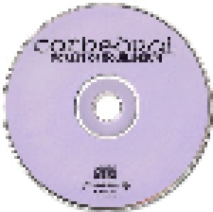 Cathedral: Forest Of Equilibrium (CD) - Bild 5