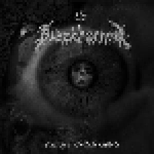 Blackhorned: Lost In A Twilight World (LP) - Bild 1