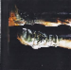 AC/DC: Stiff Upper Lip (CD) - Bild 9