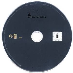 Skunk Anansie: Smashes And Trashes (2-CD + 2-DVD) - Bild 6