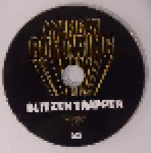 Blitzen Trapper: American Goldwing (CD) - Bild 4