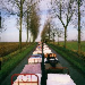 Pink Floyd: A Momentary Lapse Of Reason (CD) - Bild 5