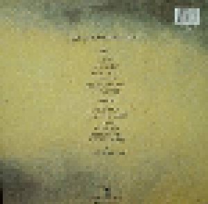 Echo & The Bunnymen: Songs To Learn & Sing (LP) - Bild 2