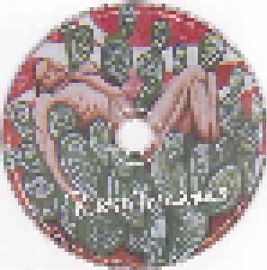 Rich Hopkins & Luminarios: Buried Treasures (2-CD) - Bild 3