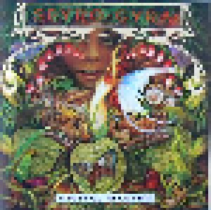 Spyro Gyra: Morning Dance (CD) - Bild 1
