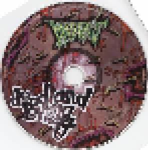 Maggots: Dead And Loving It-Compilation (CD) - Bild 8