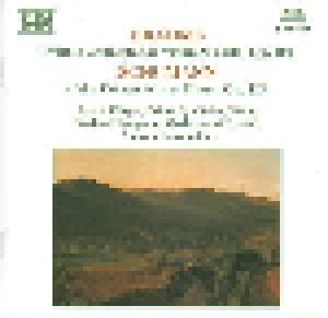 Robert Schumann, Johannes Brahms: Double Concerto For Violin & Cello, Op. 102 / Cello Concerto In A Minor, Op. 129 - Cover