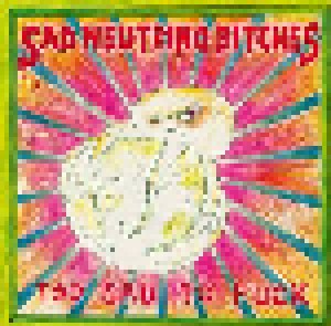 Sad Neutrino Bitches + Paul Harbour: Too Sad To Fuck / Foul Am Strand (Split-LP) - Bild 1