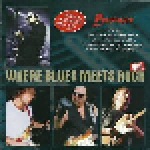 Cover - Monte Montgomery: Where Blues Meets Rock VIII