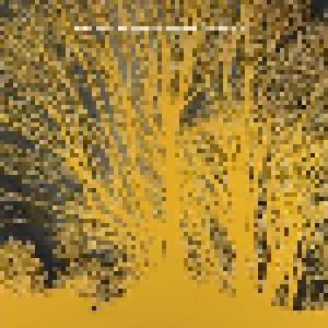 Nada Surf: The Stars Are Indifferent To Astronomy (CD) - Bild 1