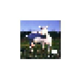 Cover - B.L.O.W.: Man And Goat Alike