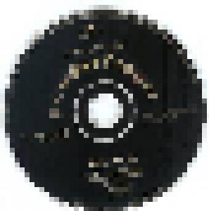 Powderfinger: Take Me In (Promo-Single-CD) - Bild 1