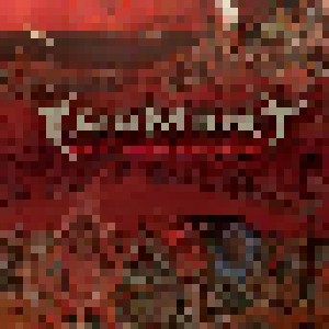 Cover - Torment: Pain Is Transient, Failure Forever
