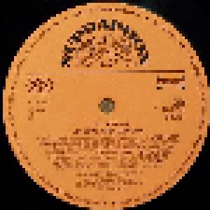 Jiří Korn: Singing And Dancing (LP) - Bild 3
