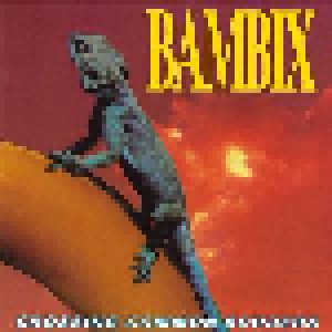 Bambix: Crossing Common Borders (LP) - Bild 1