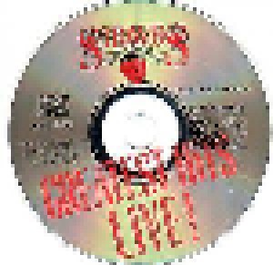 Strawbs: Greatest Hits Live! (CD) - Bild 2