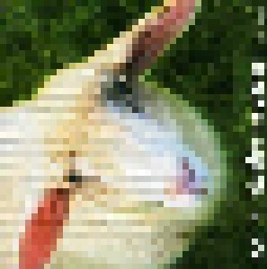 Level π: Electronic Sheep (CD) - Bild 1