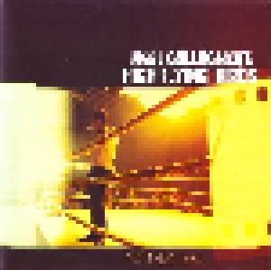 Noel Gallagher's High Flying Birds: Dream On (Promo-Single-CD) - Bild 1