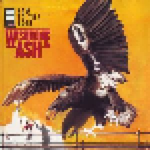 Wishbone Ash: Raw To The Bone (CD) - Bild 1