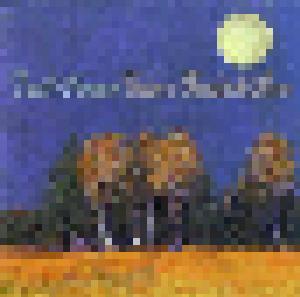 David Newman: Under A Woodstock Moon - Cover
