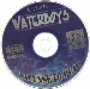The Waterboys: License To Play (CD) - Bild 3