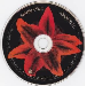 Shinedown: Amaryllis (CD) - Bild 3