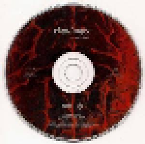 Clawfinger: Use Your Brain (CD) - Bild 5
