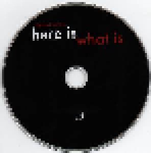 Daniel Lanois: Here Is What Is (CD) - Bild 3