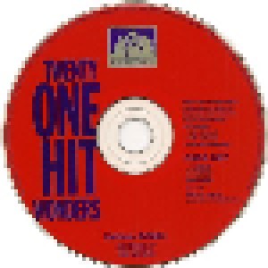 Twenty One Hit Wonders (CD) - Bild 3