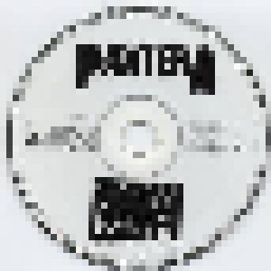 Pantera: A Not So Vulgar Display Of Power (Promo-Mini-CD / EP) - Bild 2