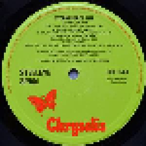 Steeleye Span: Storm Force Ten (LP) - Bild 3