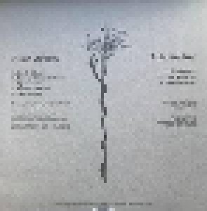 Arbouretum + Hush Arbors: Aureola (Split-LP) - Bild 2