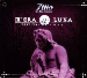 Cover - Apocalyptica Feat. Dave Lombardo: M'era Luna Festival 2011