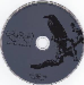Count Raven: Destruction Of The Void (CD) - Bild 5