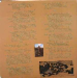 The Neil Young + Neil Young & Crazy Horse + Buffalo Springfield + Crosby, Stills, Nash & Young + Stills-Young Band: Decade (Split-3-LP) - Bild 7