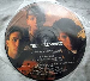 The Icicle Works: Love Is A Wonderful Colour (PIC-12") - Bild 3