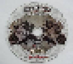 KrawallBrüder + Slapshot + Soifass + Prolligans: Promo CD - Tour 2012 - (Split-Promo-CD) - Bild 2