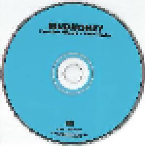 Mudhoney: Superfuzz Bigmuff (Plus Early Singles) (CD) - Bild 3