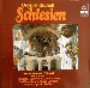 Cover - Johann Christoph Altnikol: Orgellandschaft Schlesien