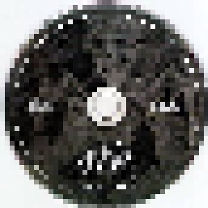 Flayed Disciple: Death Hammer (Promo-CD) - Bild 3