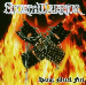 Stormwarrior: Heavy Metal Fire (Mini-CD / EP) - Bild 1