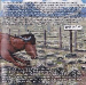 Rich Hopkins & Luminarios: The Horse I Rode In On (CD) - Bild 7