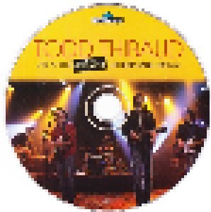 Todd Thibaud: Live At The Rockpalast Crossroads Festival (2-CD + DVD) - Bild 3