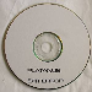 Platanus: Exit Error (Demo-CD-R) - Bild 3