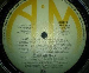 Janet Jackson: Rhythm Nation 1814 (LP) - Bild 4