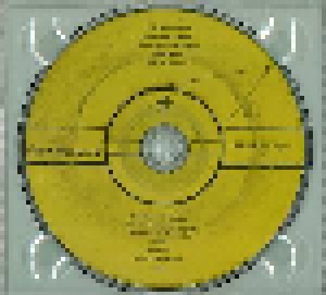 Glen Hansard: Rhythm And Repose (CD) - Bild 3