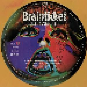 Brainticket: Cottonwoodhill (LP) - Bild 6