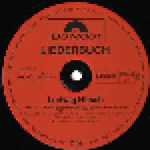 Ludwig Hirsch: Liederbuch (2-LP) - Bild 9